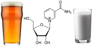 Nicotinamide-Riboside-324x160.jpg